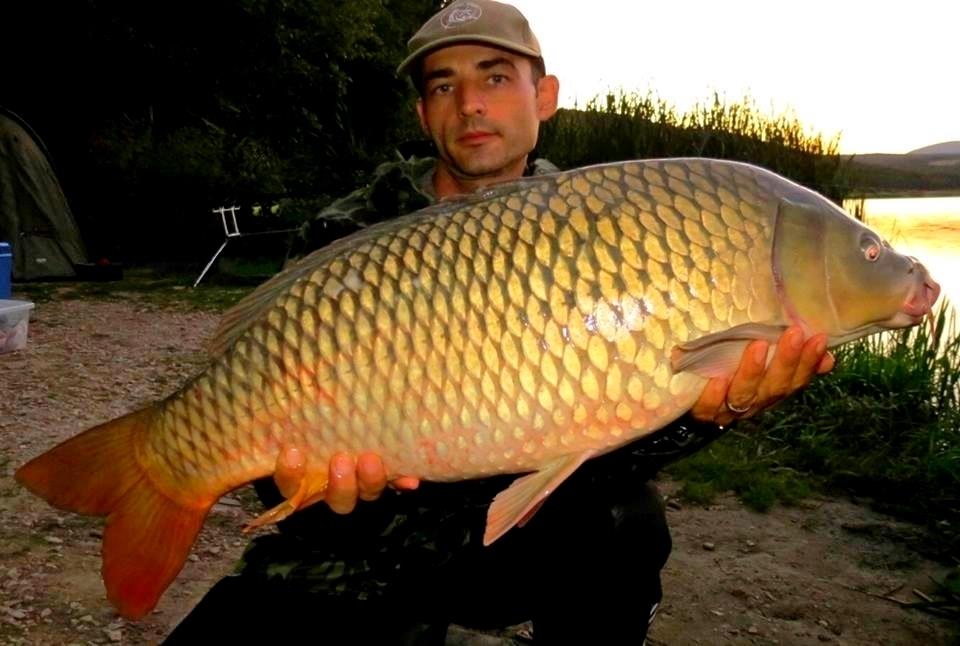 The best pictures of 2013 - 11,620